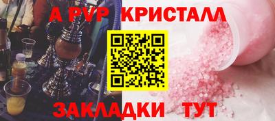 крисы Камышлов