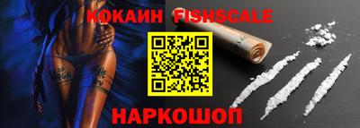крисы Камышлов
