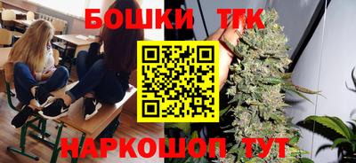 крисы Камышлов