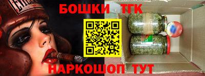 крисы Камышлов