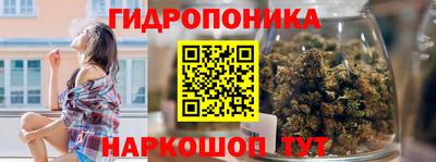 крисы Камышлов