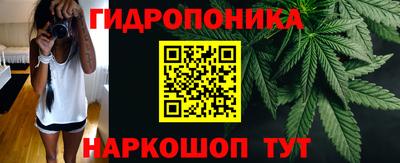 крисы Камышлов