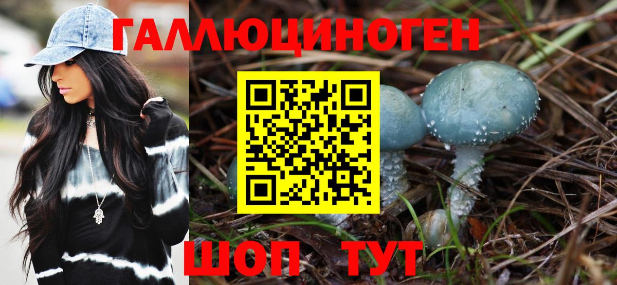 Галлюциногенные грибы Psilocybine cubensis Кропоткин