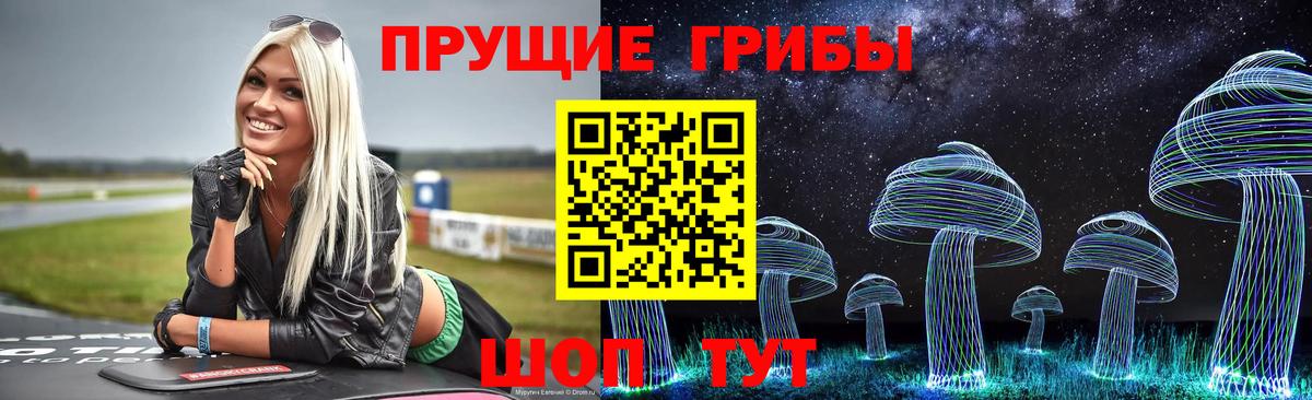 Псилоцибиновые грибы прущие грибы  Галлюциногенные грибы GOLDEN TEACHER  Вход с VPN  Кропоткин 
